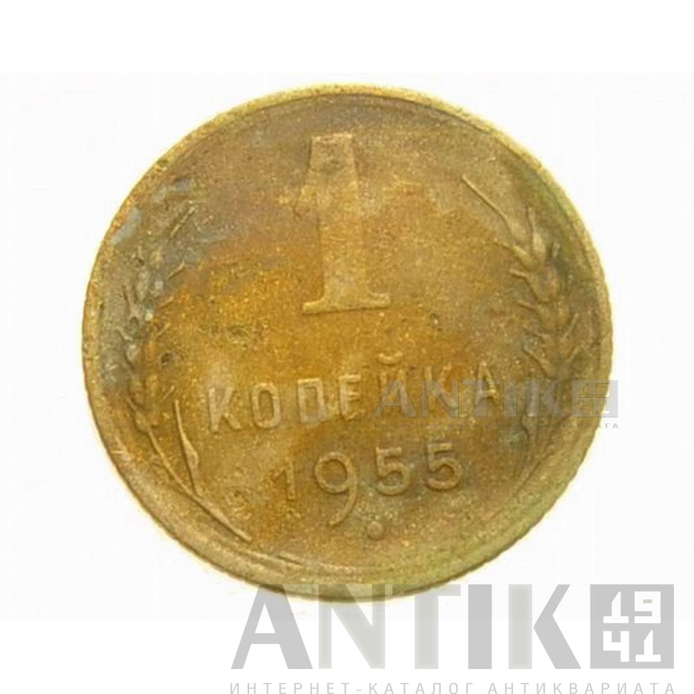 Советская монета 1 копейка 1955 года 1