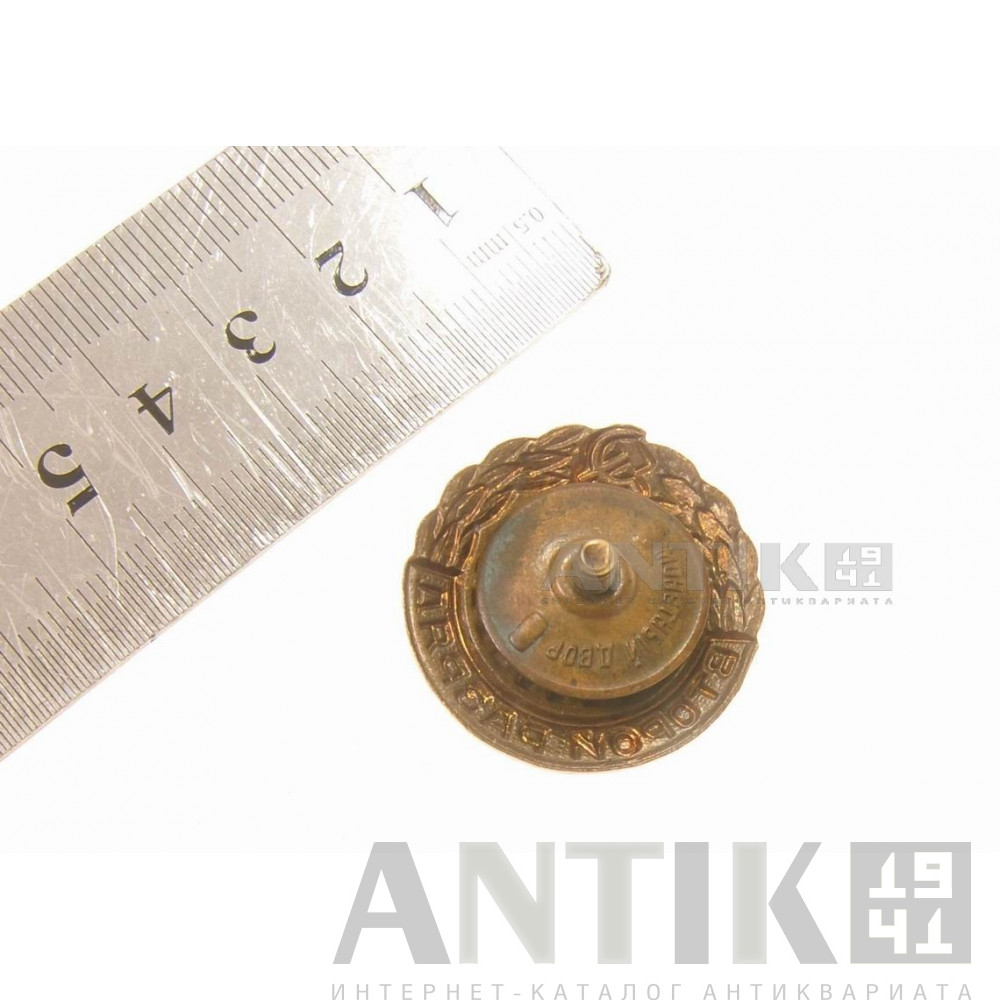 Знак (значок) "ГТО второй разряд по бегу" 2