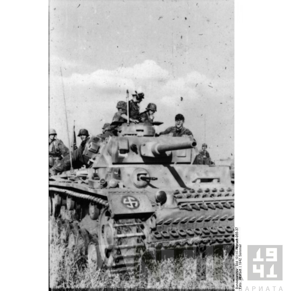 Копия кольца SS-Panzer-Division Wiking 8