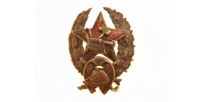 Знаки отличия красного командира (краскома)